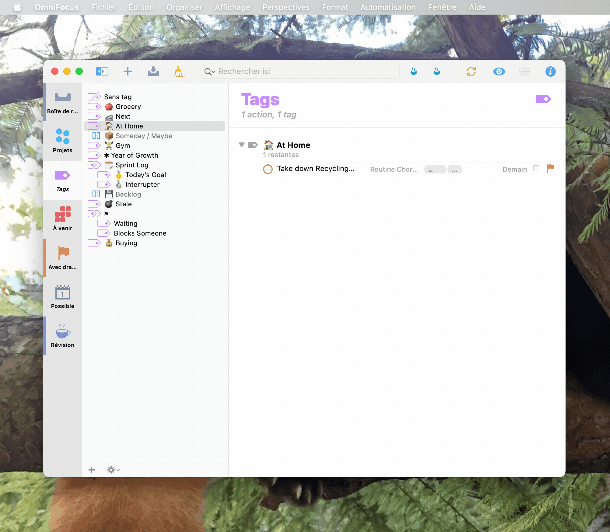 The plugins folder where you need to put the plugin bundle is easy to find! Go to Automation in the menu bar, then Plugins, then Show In Finder. This is where to drop the omnijs bundle.